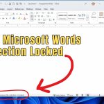 Ternyata Ini 3 Cara Membuka Selection Is Locked di Word yang Jarang Diketahui Orang