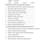 Ternyata Ini Soal UTS PKN Kelas 3 Semester 1 dan Kunci Jawaban yang Paling Sering Keluar