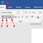 3 Trik Rahasia Cara Mengubah Beberapa Huruf Menjadi Italic di Word yang Jarang Diketahui 3 Trik Rahasia Cara Mengubah Beberapa Huruf Menjadi Italic di Word yang Jarang Diketahui