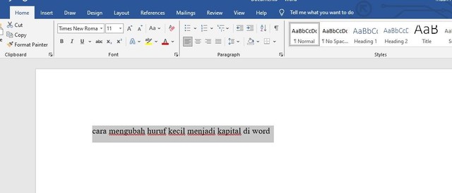 Cara Mengubah Huruf Kecil menjadi Kapital ataupun sebaliknya di Word Cara Mengubah Huruf Kecil menjadi Kapital ataupun sebaliknya di Word