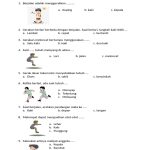 Akhirnya! 5 Contoh Soal PJOK Kelas 6 Semester 1 Siap Cetak dari Bimbel Brilian Akhirnya! 5 Contoh Soal PJOK Kelas 6 Semester 1 Siap Cetak dari Bimbel Brilian